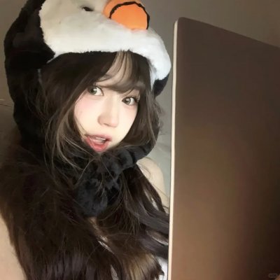 伏妖开封府之御猫展昭